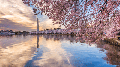 Things to do in Washington DC (1)